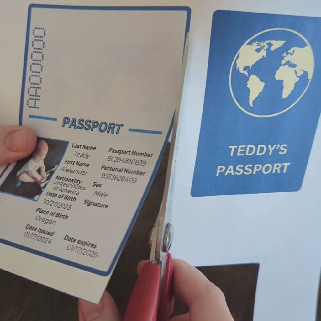 Customizable Passport | Design Your Own Passport | Passport Craft | Kids Crafts | Craft Template | Travel Craft | Passport Book | Kids