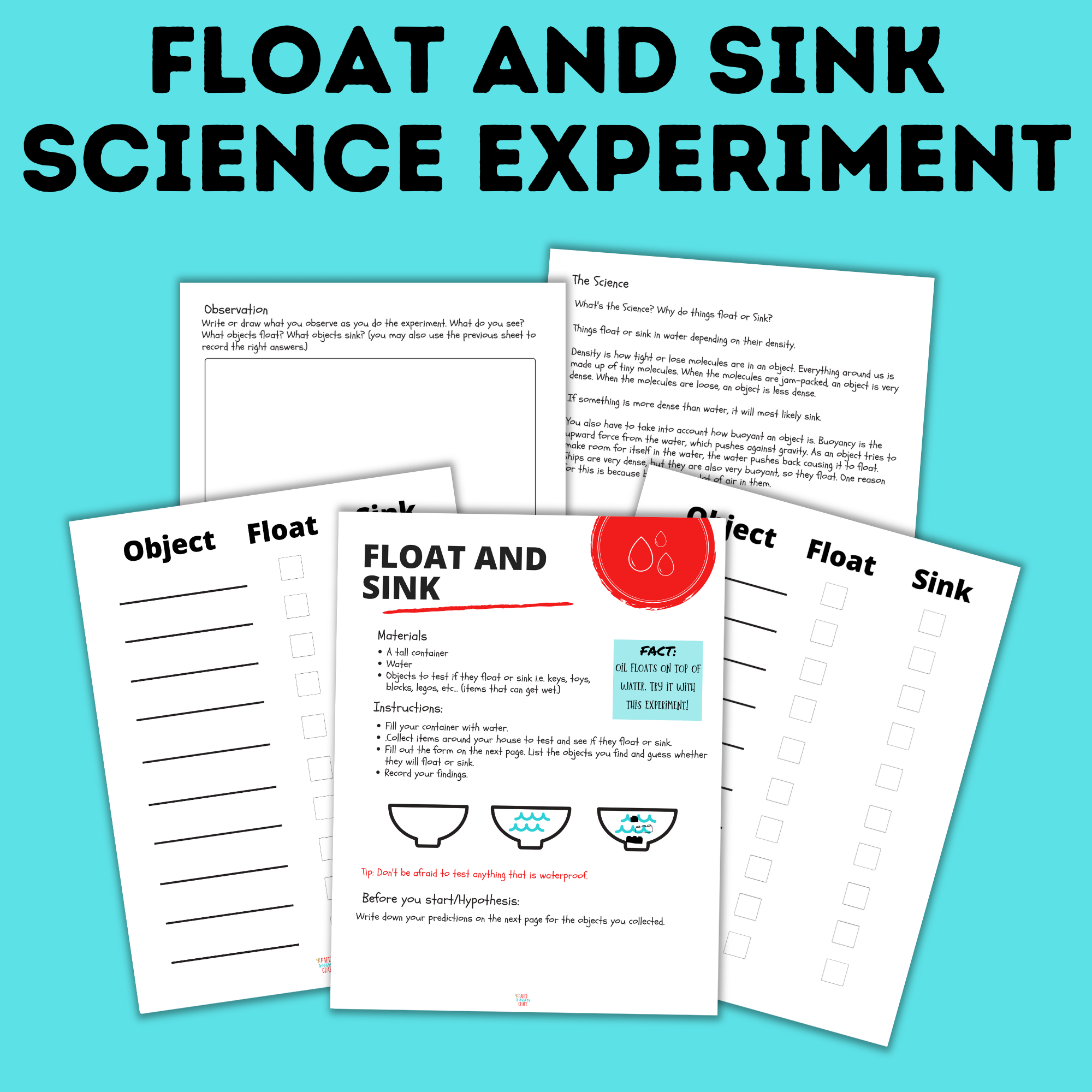 Float and Sink Science Experiment for Kids | Science Activities | STEM Activities | Science Crafts | Learning Activities | Science for Kids
