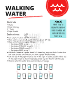 The Scientific Method: The Walking Water Experiment