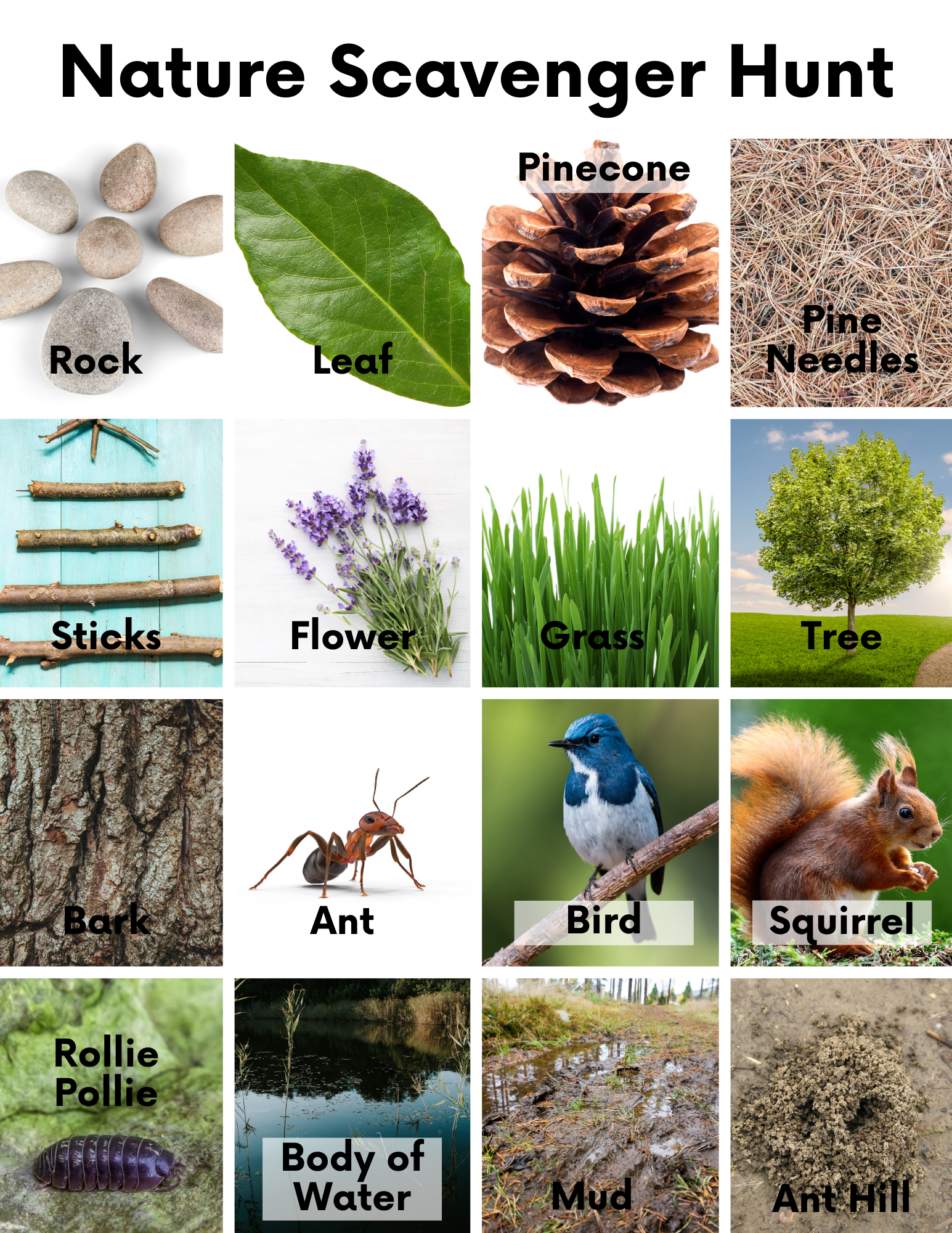 FREE Nature Scavenger Hunt with Pictures