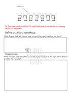 The Scientific Method: The Walking Water Experiment
