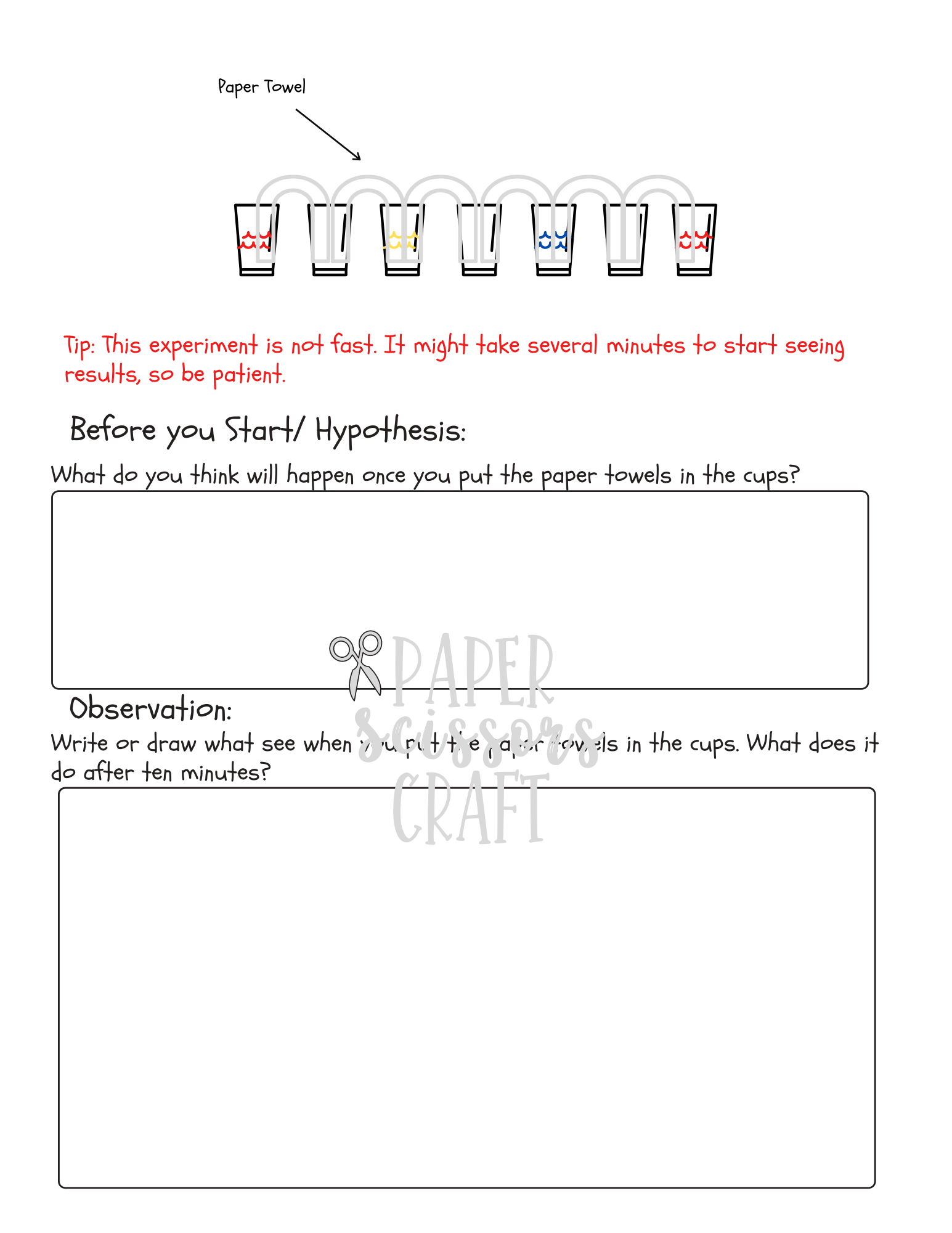 The Scientific Method: The Walking Water Experiment